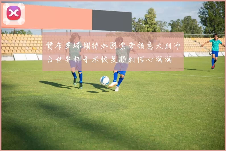 赞布罗塔期待加图索带领意大利冲击世界杯手术恢复顺利信心满满