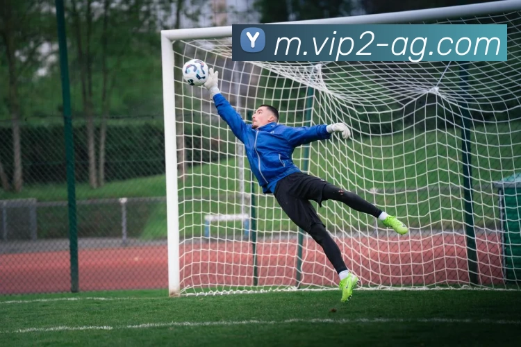 AG娱乐APP 体育赛事宣传图